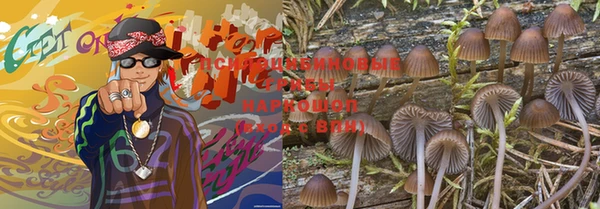 МДМА Бородино