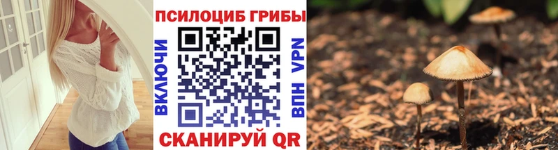 Галлюциногенные грибы мицелий  Купить  Козьмодемьянск 